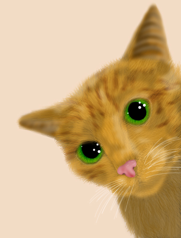 http://217.112.37.94/graph/art_full/12450771204819.jpg